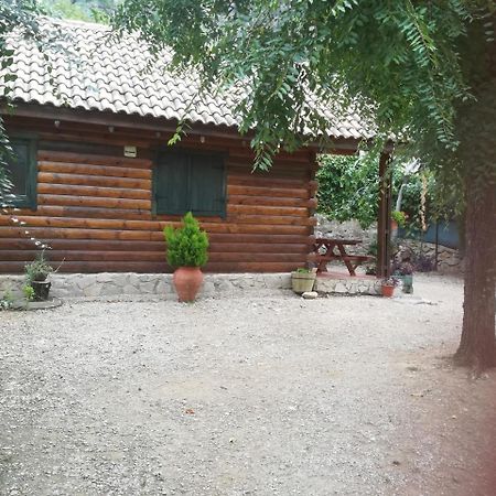 Cabana De Madera La Encina 버언커 외부 사진