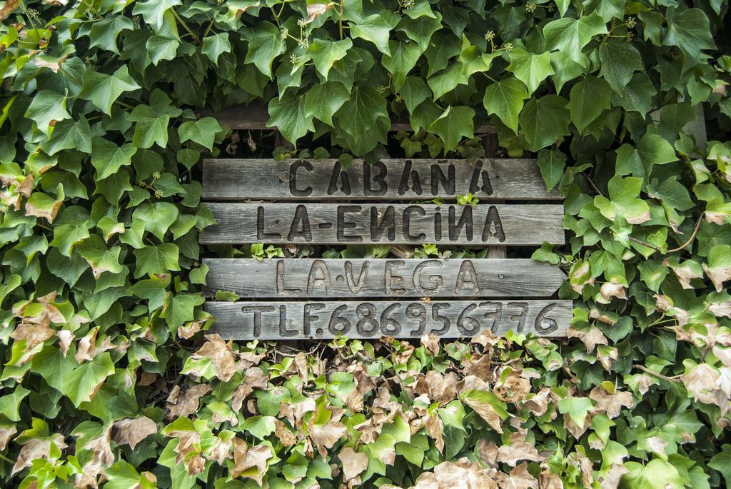 Cabana De Madera La Encina 버언커 외부 사진